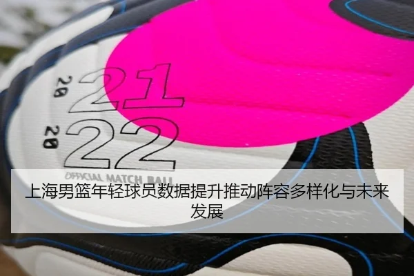 shang-hai-nan-lan-nian-qing-qiu-yuan-shu-ju-ti-sheng-tui-dong-zhen-rong-duo-yang-hua-yu-wei-lai-fa-zhan-2-662.jpg